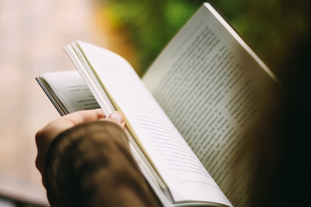 imagem do AUTORES E LIVROS VENCEDORES DO PRÊMIO CEPE NACIONAL DE LITERATURA